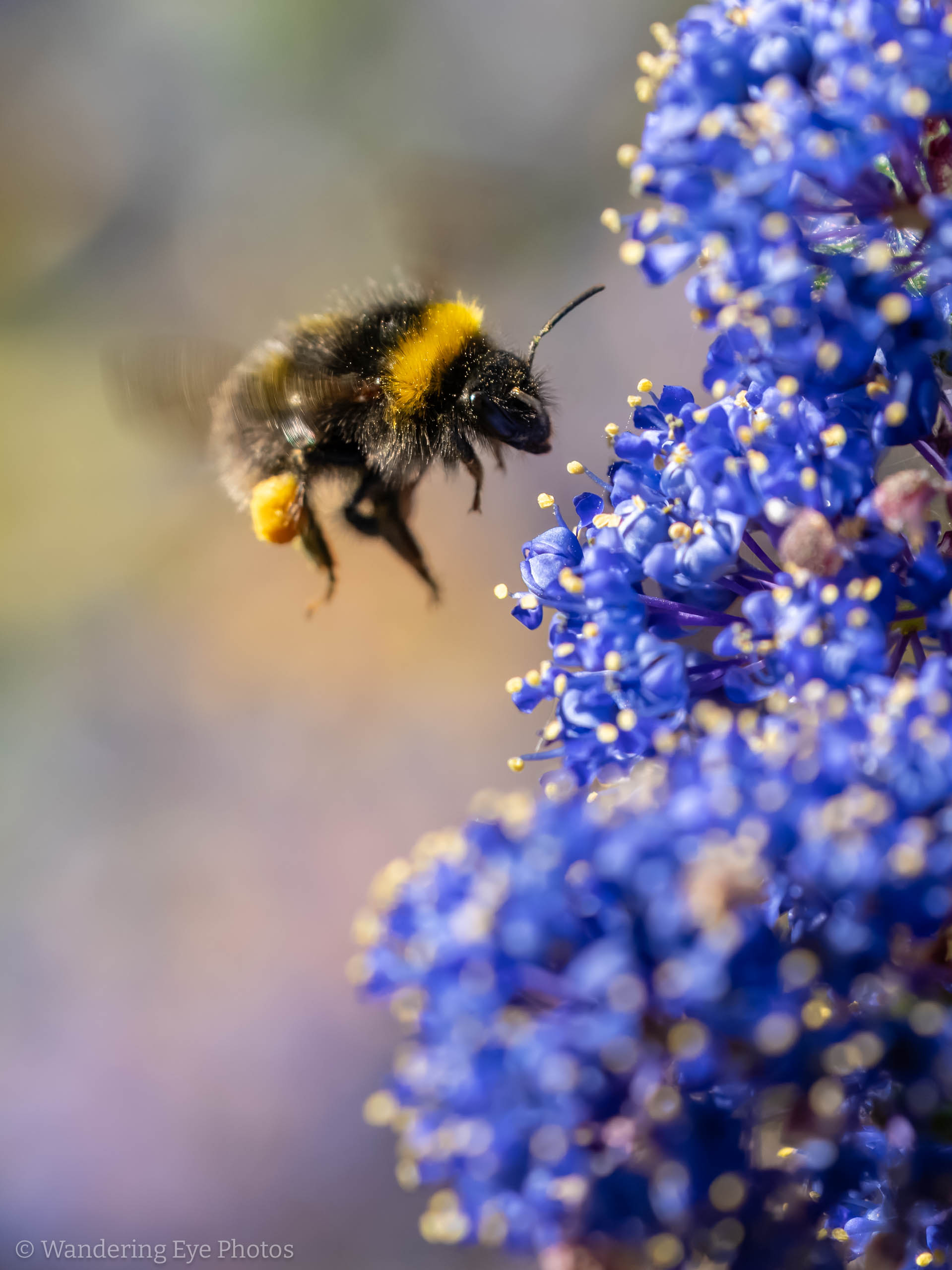 05.11 09.12.43   DSC09925